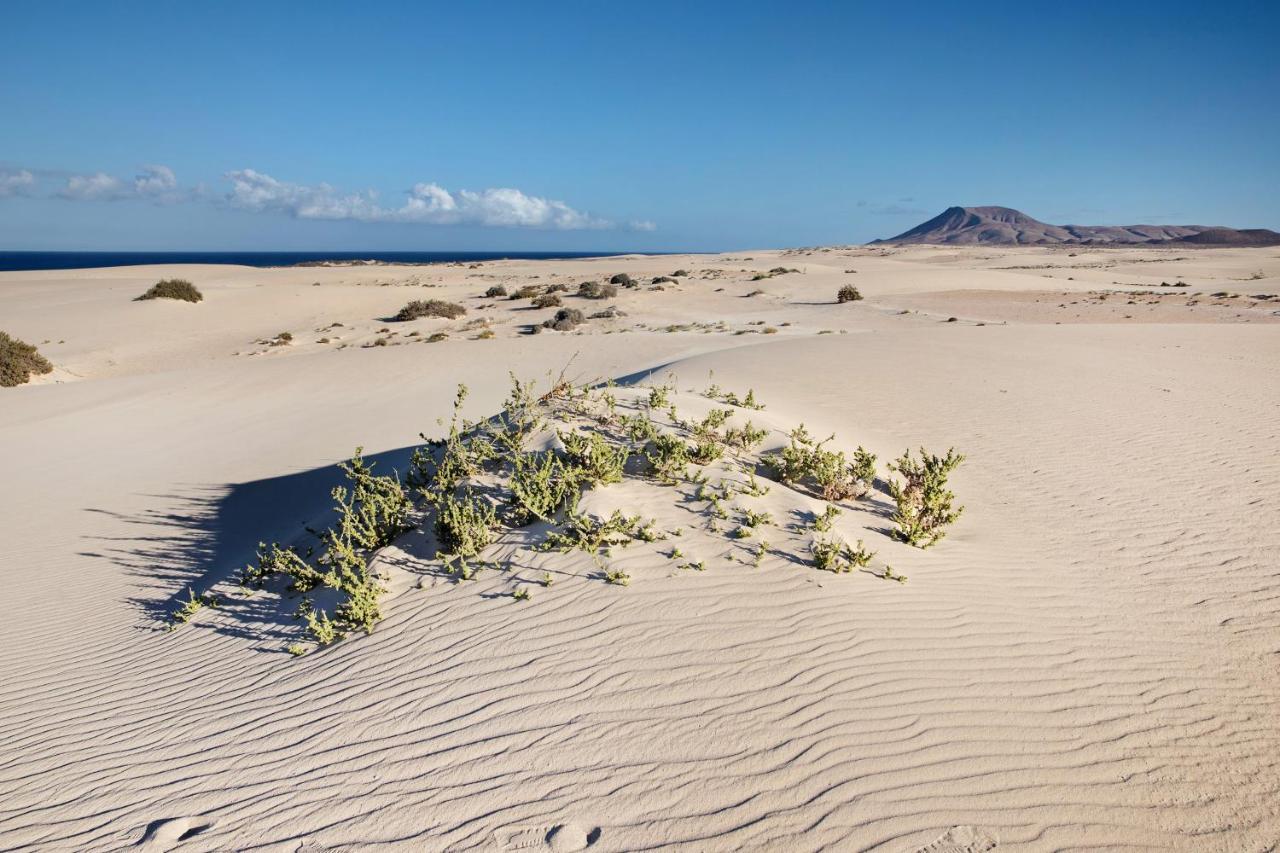 Las Fuentes Corralejo Eksteriør billede
